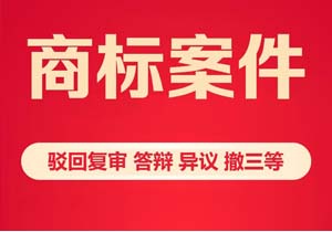 商標代理機構(gòu)的業(yè)務范圍包含哪些?一篇講透核心業(yè)務，選對機構(gòu)不吃虧!